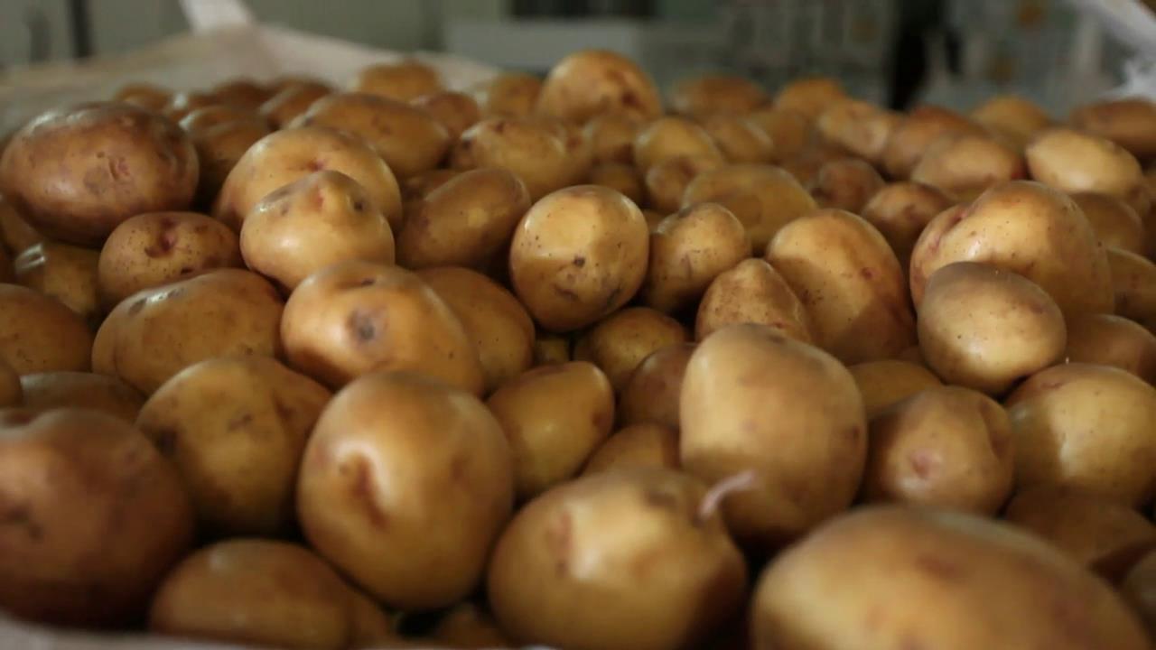 Hot Potato - BYUtv