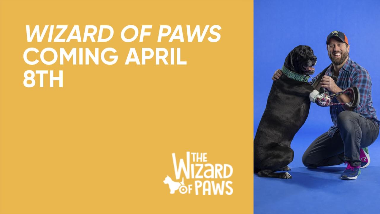 Wizard Of Paws Coming April 8th BYUtv   1280x720