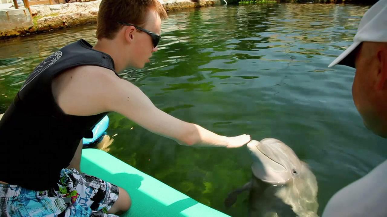 Island Dolphin Care BYUtv