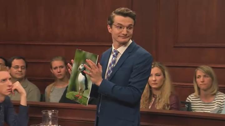 Lawyer Gets Obsessed With Puffins